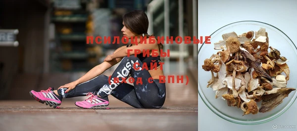 ПСИЛОЦИБИНОВЫЕ ГРИБЫ Абинск