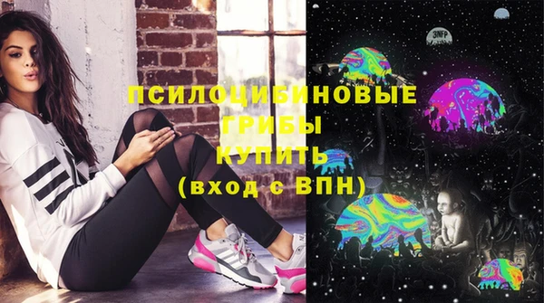 хмурый Абаза