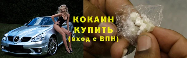 хмурый Абаза