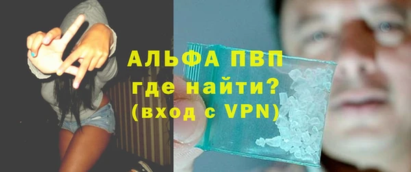 хмурый Абаза