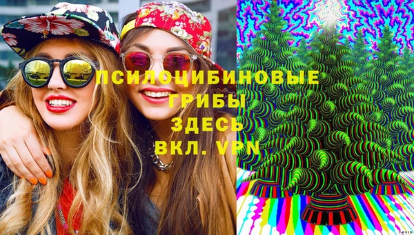 ПСИЛОЦИБИНОВЫЕ ГРИБЫ Абинск