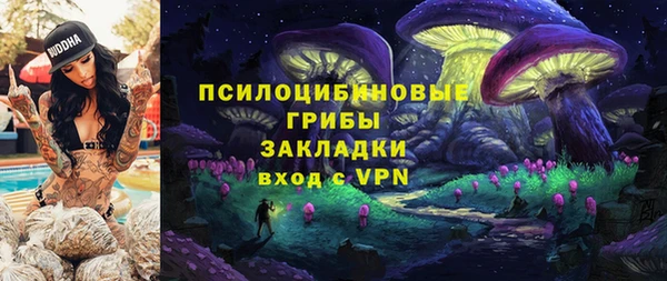 хмурый Абаза