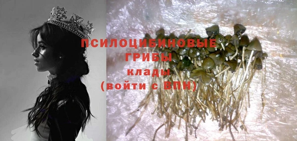 ПСИЛОЦИБИНОВЫЕ ГРИБЫ Абинск