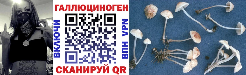 мега маркетплейс  Черемхово  Псилоцибиновые грибы мицелий 