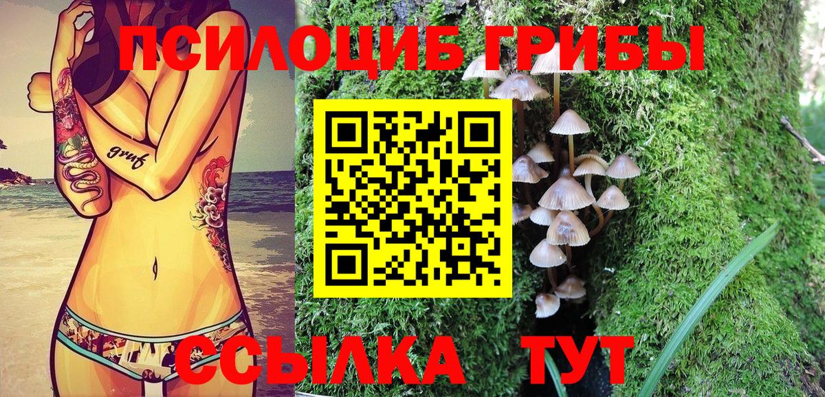 Псилоцибиновые грибы мицелий Черемхово